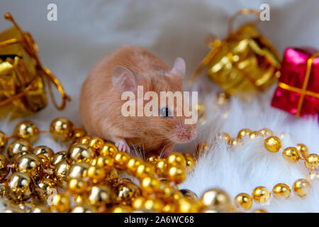 Little mouse with holiday decorations on a light background Stock Photo