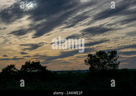 The Mookerheide in Limburg, Holland Stock Photo