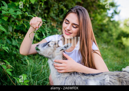 Woman and small goat green grass. Eco farm. Love and care. Animals law. Farm and farming concept. Village animals. Girl play cute goat. Feeding animal. Protect animals. Veterinarian occupation. Stock Photo