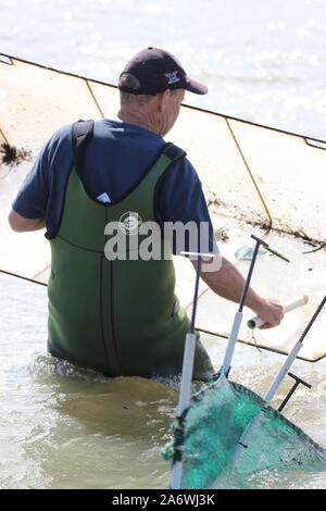 Whitebait fishing at Kapiti Stock Photo