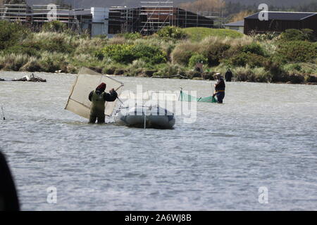 Whitebait fishing at Kapiti Stock Photo