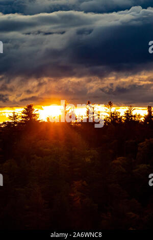 A band of clear sky shows the sun setting on a horizon. Crossing it are the silhouettes of several evergreen trees in a forest, while illuminated bott Stock Photo