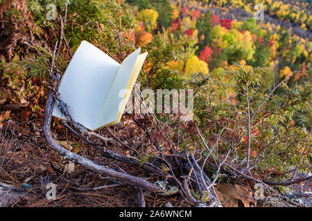 A blank notebook sits in a low coniferous shrub on the edge of a cliff. The open, lined pages offer space for anything above an autumn forest below. Stock Photo
