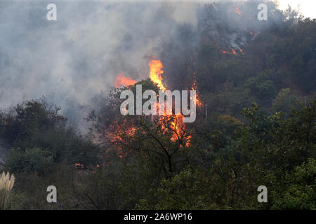 Los Angeles, USA. 28th Oct, 2019. A fire along the 405 Freeway in the Sepulveda Pass near the Getty Center destroying homes and forcing thousands of evacuation in Los Angeles, California on October 28, 2019. Credit: Faye Sadou/Media Punch/Alamy Live News Stock Photo