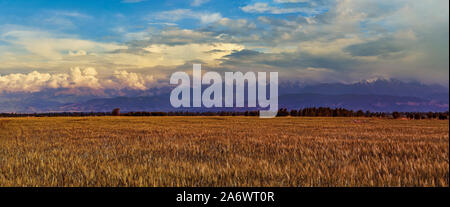 Panorama of a mountain valley. Fairy dawn in the foreground of farmland, rolling hills Stock Photo