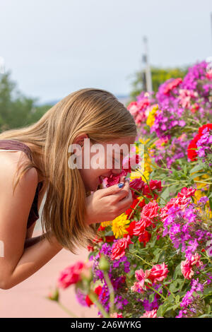 Ellensburg, Washington / USA - August 12, 2018:  Young blonde girl bends over to smell vibrantly colored flowers on a sidewalk in town. Stock Photo