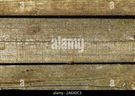 Dark brown wooden texture naturally aged outdoors. Barn board with green moss wooden texture background. Old wooden background, horizontal boards. Stock Photo