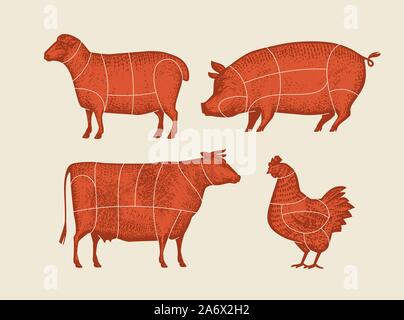 Farm animals with meat cuts lines. Retro vector illustration Stock Vector