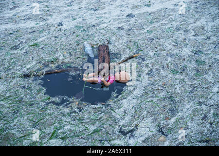 doll and plastic pollution floating in a pond with leaves and cottonwood fluff Stock Photo
