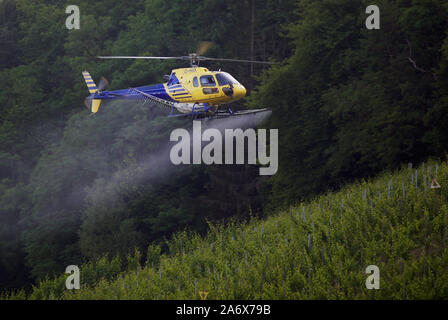 Helicopter spraying chemical on wine platage Stock Photo