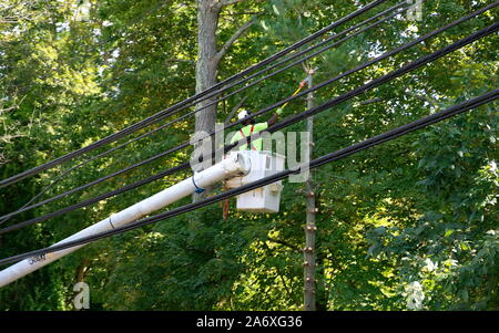 Coventry, CT USA. Sep 16 2019. Man in hydraulic basket trimming tree branches from power lines with a power pole saw. Stock Photo