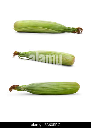 A collection of whole unopened corn on the cob, corncob isolated on a white background. Stock Photo