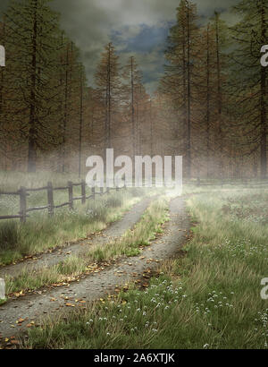 Footpath to the foggy forest Stock Photo