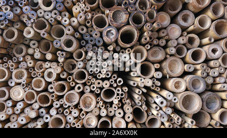 background of bamboo stalks Stock Photo