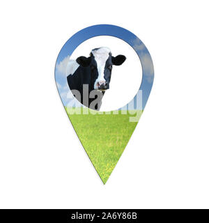 Cow locate point isolated on white background   geo pin with cow Stock Photo