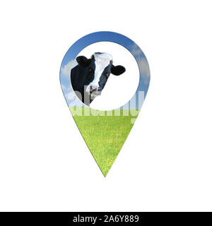Cow locate point isolated on white background   geo pin with cow Stock Photo