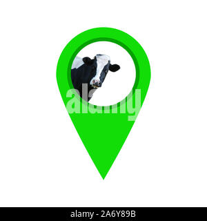 Cow locate point isolated on white background   geo pin with cow Stock Photo