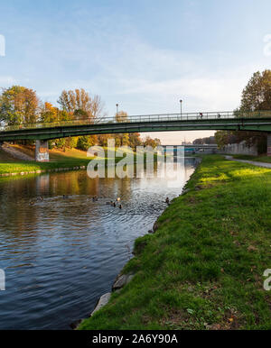 Ostravice river with bridges above and colorful trees around in Ostrava city in Czech republic during nice autumn day