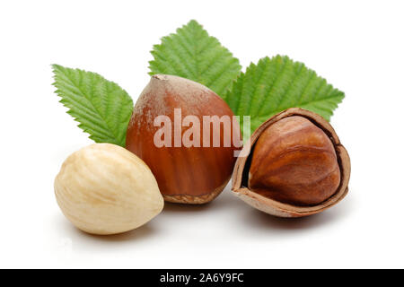 Group of hazelnuts with green leaves isolated on white background Stock Photo