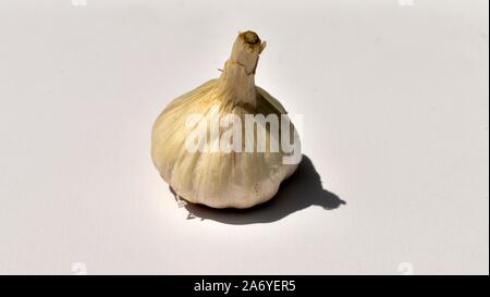Garlic with white background. Garlic has medicinal properties.  Garlic is onion family. Garlic is native to Central Asia. Garlic is very spicy to eat. Stock Photo