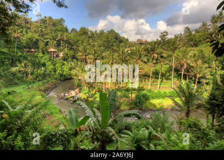 Indonesia, Bali, Ubud, Sayan Valley and Ayung River Stock Photo