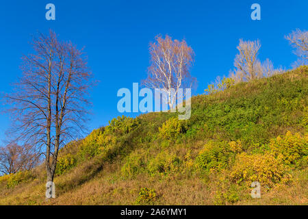 Autumn landscape with trees on a hill with a clear blue sky Stock Photo