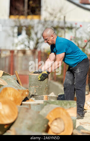 Strong lumberjack carrying a big beech log to split Stock Photo