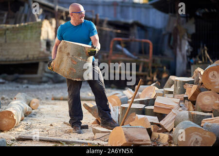 Strong lumberjack carrying a big beech log to split Stock Photo