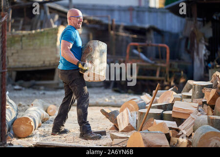 Strong lumberjack carrying a big beech log to split Stock Photo