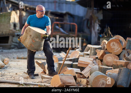 Strong lumberjack carrying a big beech log to split Stock Photo