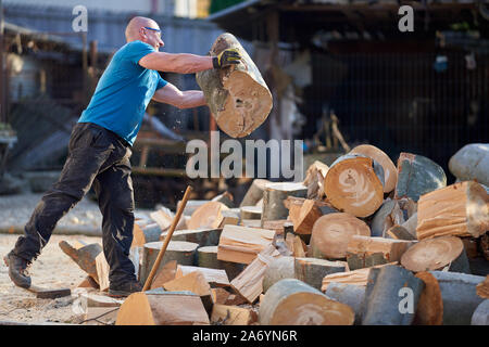 Strong lumberjack carrying a big beech log to split Stock Photo