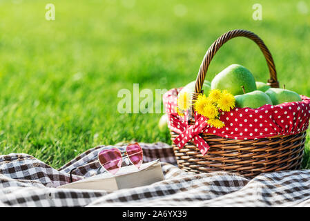 picnic table covered with checkered tablecloth and picnic basket Stock Photo