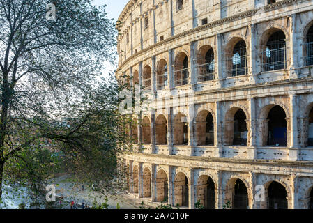 Colosseum in early morning light Stock Photo