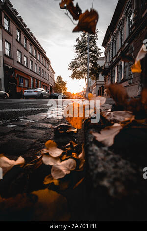 Orange Sunset in Slovakian city named Trencin with falling leaves on street taken with cannon 600d and 10-18mm wide angle lens. Stock Photo