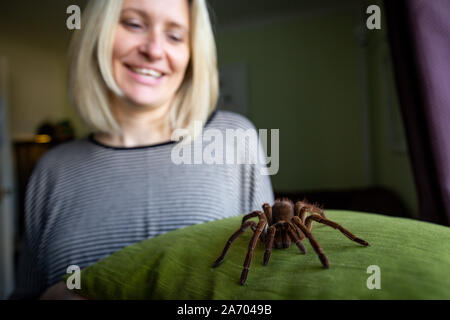 Zoologist Carrie Alcock with Boris, her Goliath birdeater spider at her home in Cheadle, Staffordshire ahead of the National Pet Show at the NEC on November 2 and 3. PA Photo. Picture date: Tuesday October 29, 2019. Photo credit should read: Jacob King/PA Wire Stock Photo