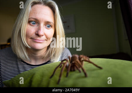 Zoologist Carrie Alcock with Boris, her Goliath birdeater spider at her home in Cheadle, Staffordshire ahead of the National Pet Show at the NEC on November 2 and 3. Stock Photo