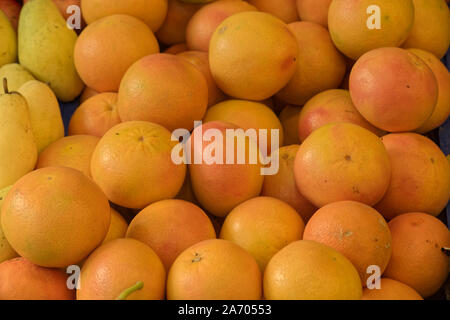 Group of grapefruits displayed on grocery counter. Front View. Stock Photo