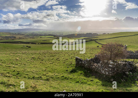 Rolling fells in North Yorkshire. The Ingleton Glens are an SSSI. Stock Photo