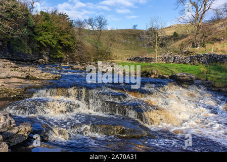 The river Twiss tumbles down the Ingleton waterfalls trail in North Yorkshire just above Thornton Force. The Ingleton Glens are an SSSI. Stock Photo