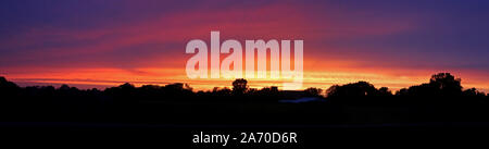 Rural trees silhouetted against golden sunset and blue sky, Karamoja ...