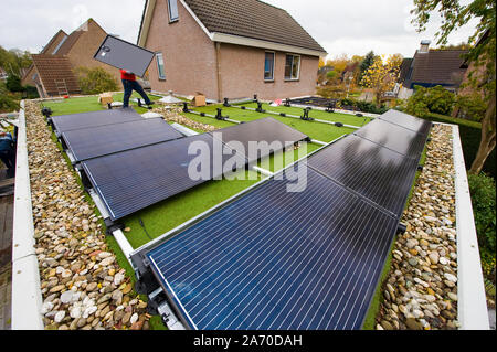 A worker is installing solar panels on a flat roof in the Netherlands Stock Photo