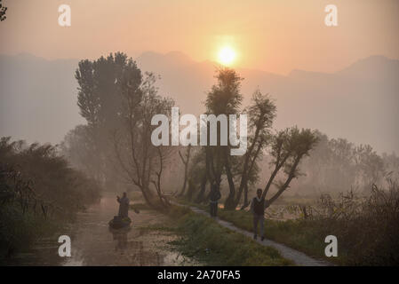 A Kashmiri boatman rows his boat as people walk on a wooden bridge early morning in the interiors of Dal lake.Kashmir has been divided between India and Pakistan since their partition and independence from Britain in 1947. The disputed region is claimed in full by both sides, which have fought three wars over it. Stock Photo