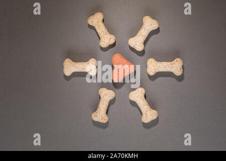 Several multi-coloured dog biscuits arranged in a pattern on a grey background nobody in the image Stock Photo