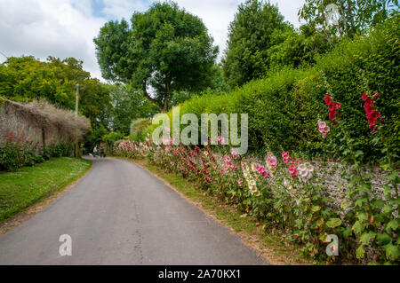 A couple walking several dogs along Church Lane in Exton village in Hampshire, England. Stock Photo