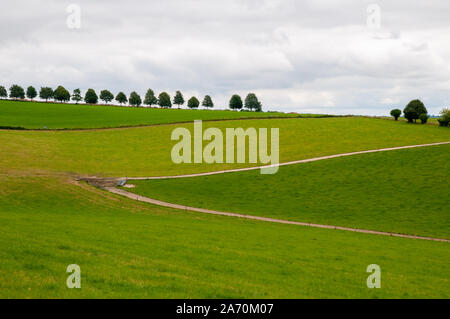 A hill in Hampshire taking on a graphic appearance with a zig-zag road dividing the fields and trees lined in silhouette at the top. England. Stock Photo