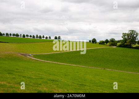 A hill in Hampshire taking on a graphic appearance with a zig-zag road dividing the fields and trees lined in silhouette at the top. England. Stock Photo