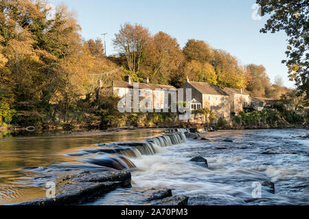 Demesnes Mill, River Tees, Barnard Castle, Teesdale, County Durham UK.  29th October 2019. UK Weather.  Spectacular golden autumnal light illuminates Demesnes Mill on the banks of the River Tees at the end of a warm autumn day in Northern England .  Credit: David Forster/Alamy Live News Stock Photo