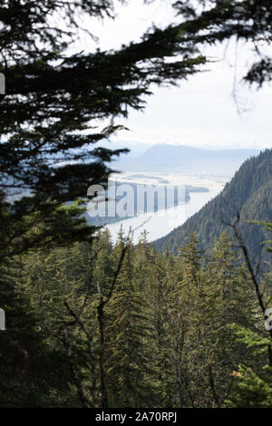 Views From Mount Roberts, Juneau Alaska Stock Photo