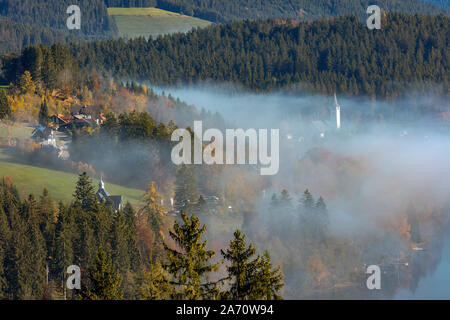 View to theTitisee in morning mist, with hills, Titisee-Neustadt, Black Forest, Baden-Wurtemberg, Germany Stock Photo