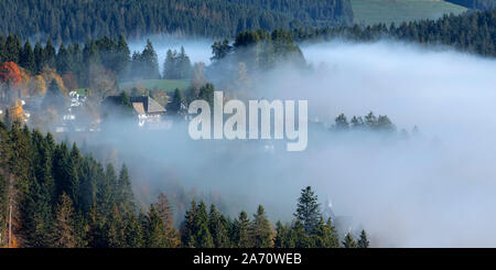 View to theTitisee in morning mist, with hills, Titisee-Neustadt, Black Forest, Baden-Wurtemberg, Germany Stock Photo